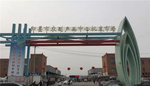 千年商都 宜居即墨 2017即墨精品樓盤展系列報道 五 國際商貿城