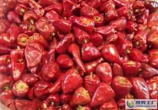優質辣椒,小,頭辣椒,辣椒廠家,北京利達世紀商貿_農副產品_世界工廠網中國產品信息庫