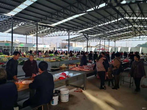 新市場 新面貌 新氣象,新嘉源商貿城農產品交易中心12月24日正式投用