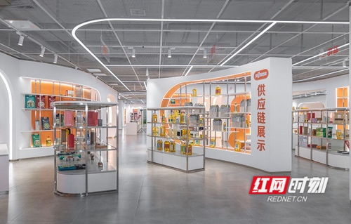 雨花登 高 ④ 把好 金鑰匙 ,打造中部地區(qū)對非經(jīng)貿(mào)交流 城市會客廳